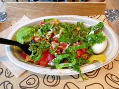 -油梨树AVOCADO TREE(望京店)