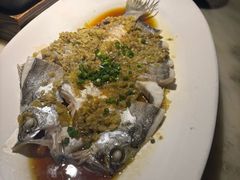 -绿茶餐厅(成都大悦城店)