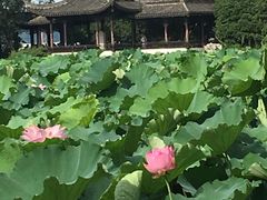 -高子水居