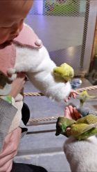 -酷嗒动物文化乐园(cutezoo西溪乐天城店)