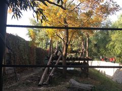 -北京动物园