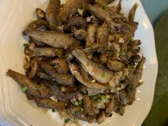 -大新明仕山庄