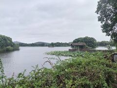 -上海市保健医疗中心