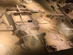 -洛阳周王城天子驾六博物馆