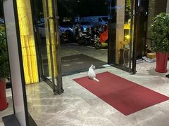 -永青泉汗蒸广场(大运河博物馆店)