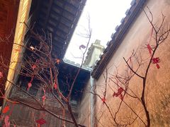 -潜口民宅博物馆