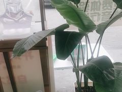 -自然之声助听器·呼吸机(康桥旗舰店)