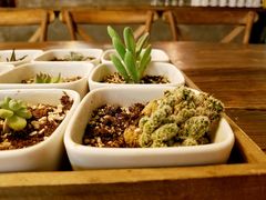 -娜娜家·Nana's restaurant(国金汇店)