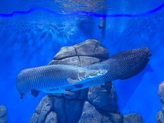 -石家庄市动物园