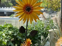 -三忘湖 SWANSEEN(柳荫公园店)