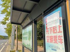 -青龙山国家森林公园