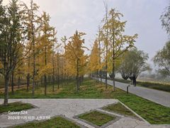 -汉长安城未央宫国家考古遗址公园