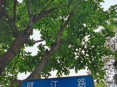 -四川大学(望江校区)