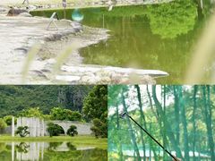 -Club Med地中海俱乐部·桂林度假村