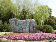 -上海鲜花港