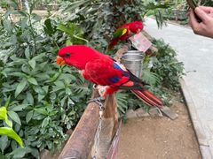 -南宫五洲植物乐园