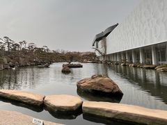 -罗红摄影艺术馆