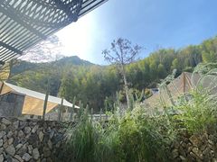 -MOJ coffee(瓯海泽雅水碓坑店)