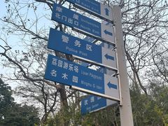 -紫马岭公园