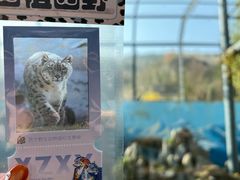 -青藏高原野生动物园