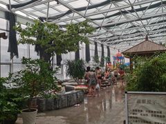 -盛彼得温泉度假酒店