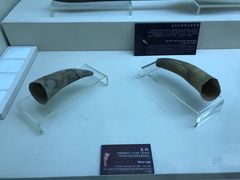 -巴音郭楞蒙古自治州博物馆