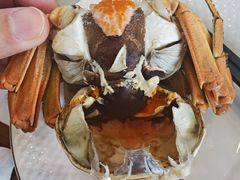 -蟹天蟹地农家菜·阳澄湖大闸蟹(浅水湾店)