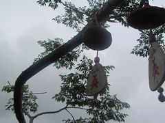 -呀诺达热带雨林