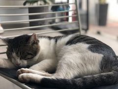 -UNI UNI(环亚凯瑟琳店)