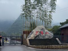 -少华山国家森林公园