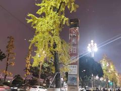-白乐天毛肚火锅馆(南滨路店)