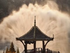 -西双版纳原始森林公园