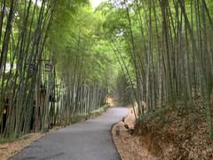 -苏州环秀晓筑养生度假村