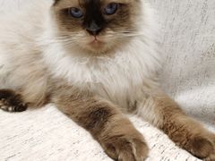 -藏猫猫咖啡主题馆(中央大道店)