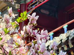 -潭柘寺景区
