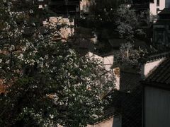 -篁岭景区