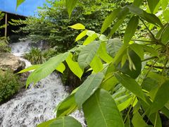 -藏龙百瀑风景区