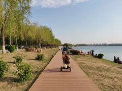 -丁香湖公园