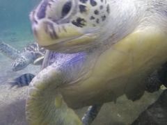 -鸿通城购物中心