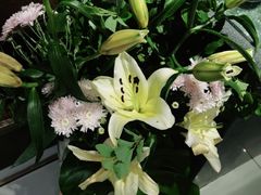 -旺顺阁·北京菜(北辰上品+)