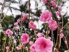 -桃花涧