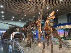 -国家自然博物馆