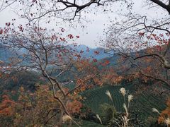 -北高峰