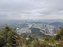 -梧桐山风景名胜区