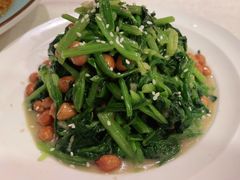 -金杏·粘卷子 烤鸭 农家菜