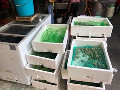 -鸿顺老铁锅美蛙鱼府(解放碑店)