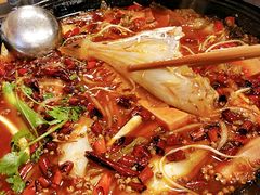 香锅耗儿鱼-鸿顺老铁锅美蛙鱼府(解放碑店)