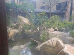 -忆江南·临江鱼馆