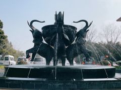 -同里湖度假村(二期店)
