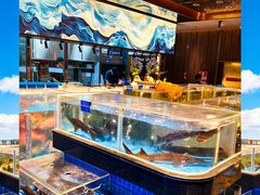 -青蓬蒸汽海鲜·深圳老字号·团建聚会(壹方城店)